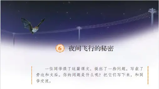 统编版四年级上册语文6夜间飞行的秘密课件