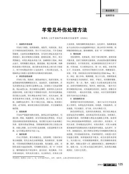 羊常见外伤处理方法
