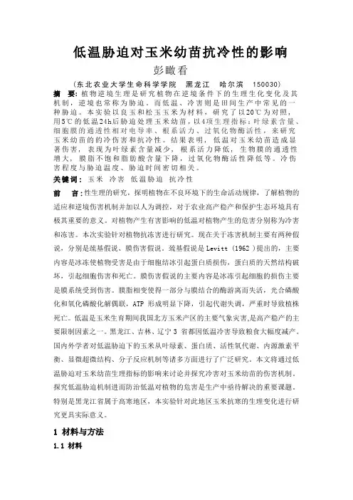 低温胁迫对玉米幼苗抗冷性的影响