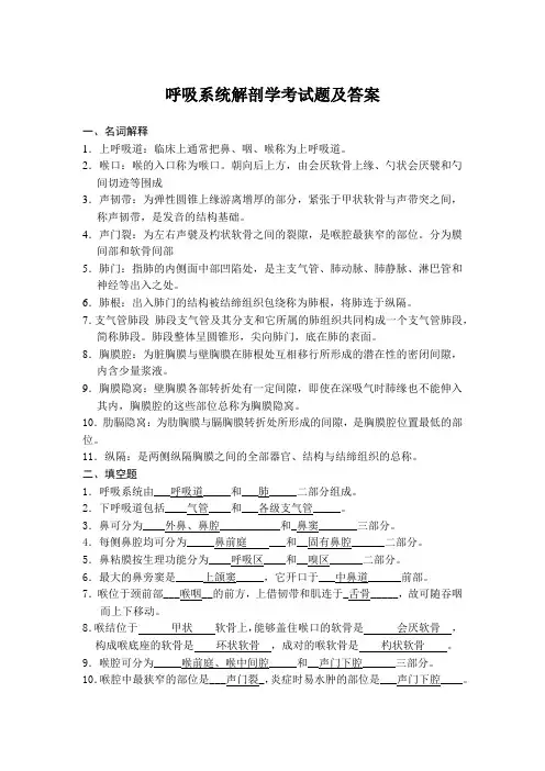 呼吸系统解剖学考试题及答案
