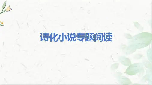 2025届高考语文复习：诗化小说专题阅读+课件