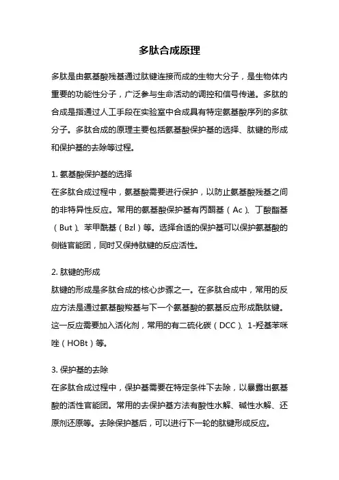 多肽合成原理
