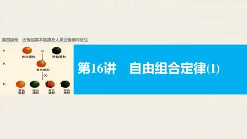 【新步步高】2018版浙江高考生物《选考总复习》课件第4单元第16讲自由组合定律(I)