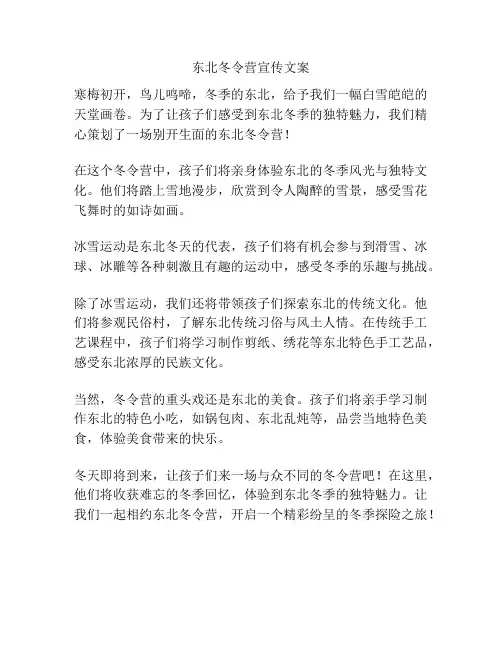 东北冬令营宣传文案