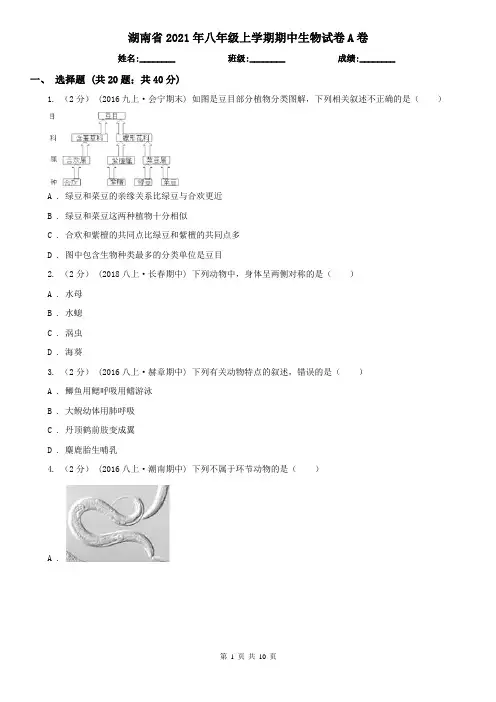 湖南省2021年八年级上学期期中生物试卷A卷(新版)