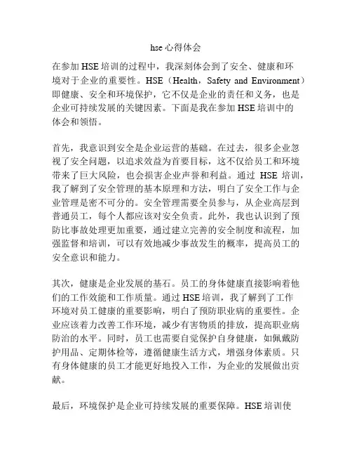 hse心得体会