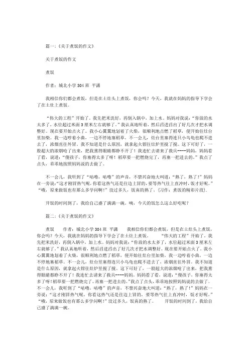 习作煮饭的精彩片段