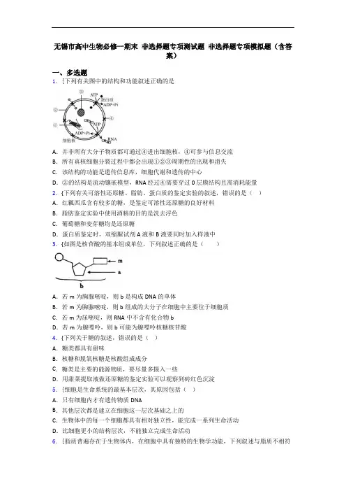无锡市高中生物必修一期末 非选择题专项测试题 非选择题专项模拟题(含答案)