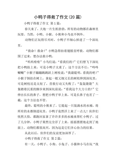 小鸭子得救了作文(20篇)