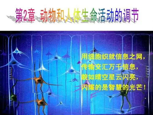 人教版教学课件第一节通过神经系统的调节1