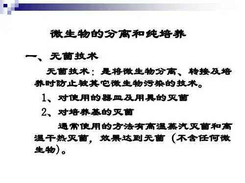 微生物的分离和纯培养无菌技术无菌技术