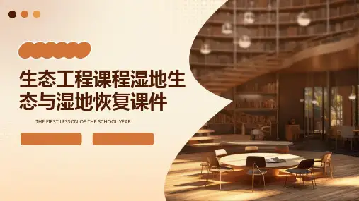 生态工程课程湿地生态与湿地恢复课件