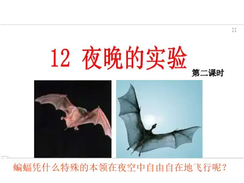 12课夜晚的实验精品PPT课件