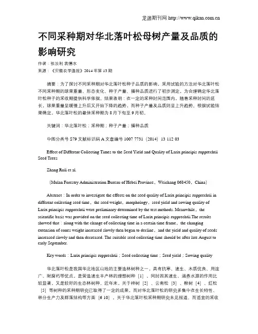 不同采种期对华北落叶松母树产量及品质的影响研究