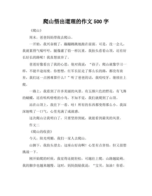 爬山悟出道理的作文500字