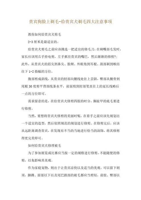 贵宾狗脸上剃毛-给贵宾犬剃毛四大注意事项
