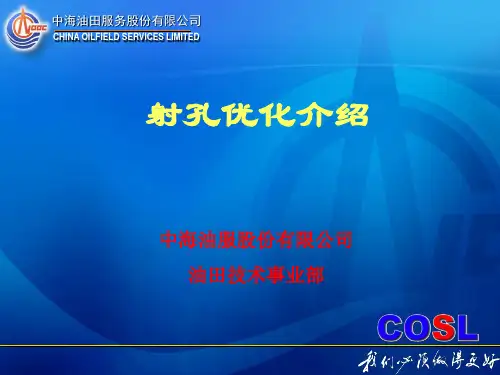 射孔优化介绍