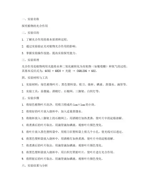 人教版生物实验报告册