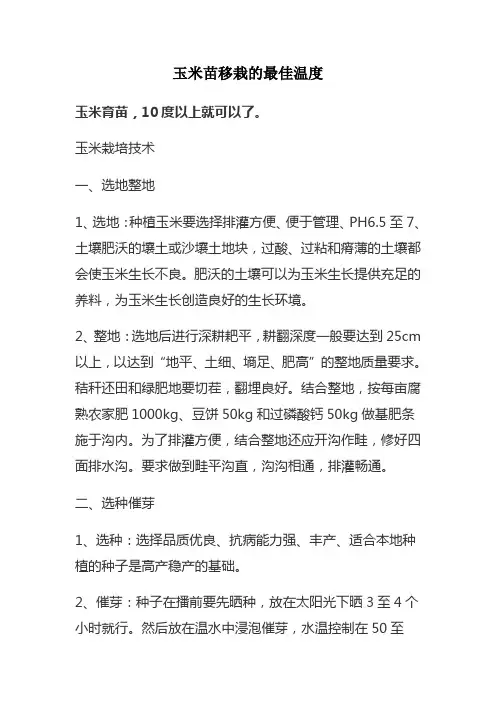 玉米苗移栽的最佳温度