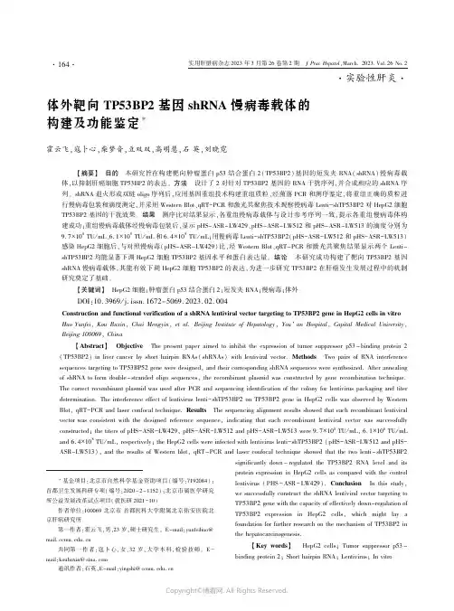体外靶向TP53BP2_基因shRNA_慢病毒载体的构建及功能鉴定