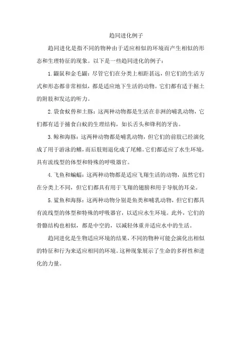 趋同进化例子