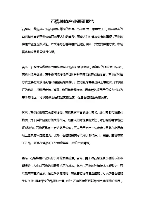 石榴种植产业调研报告