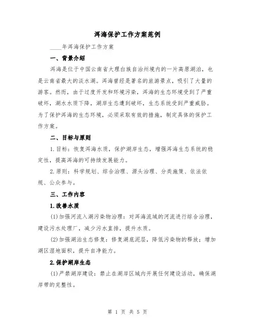 洱海保护工作方案范例（三篇）
