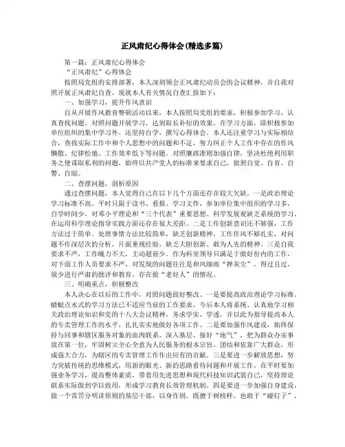 正风肃纪心得体会(精选多篇)