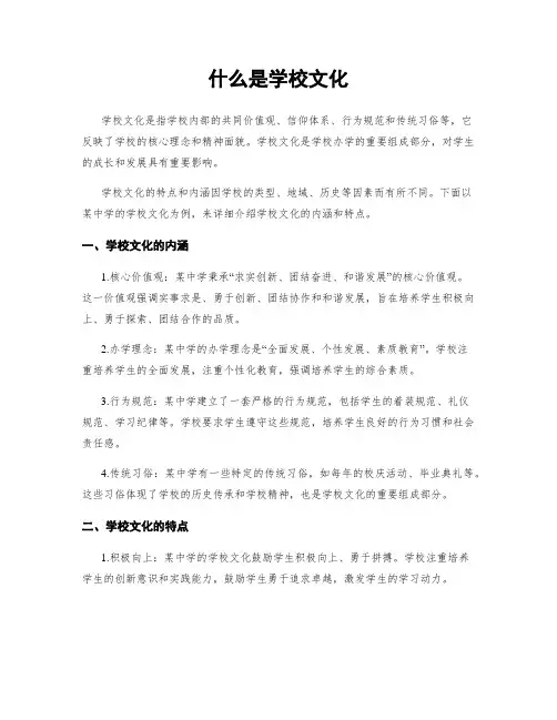 什么是学校文化