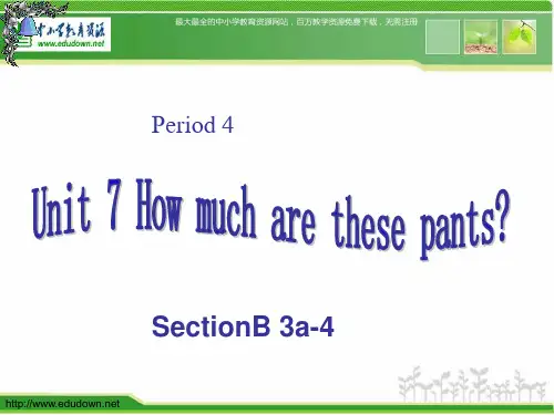 2012秋人教版英语七上Unit7Howmucharethesesocks(2)