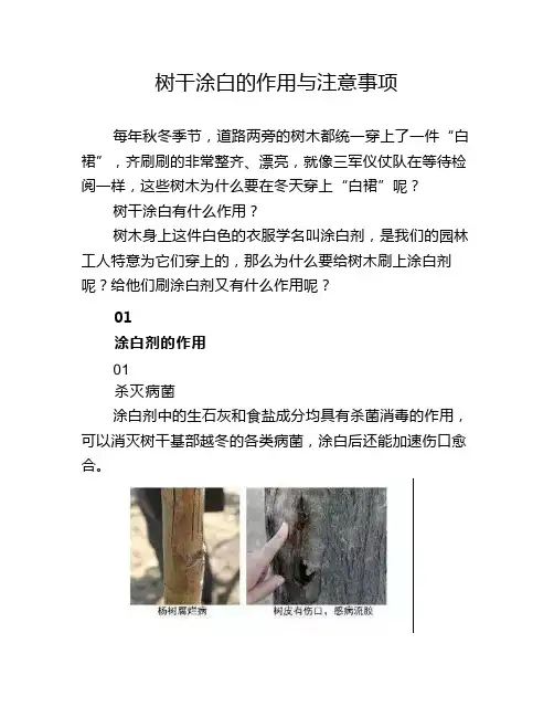 高考地理树干涂白的作用与注意事项