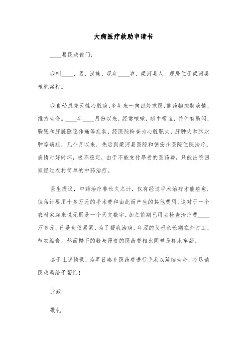 大病医疗救助申请书（六篇）