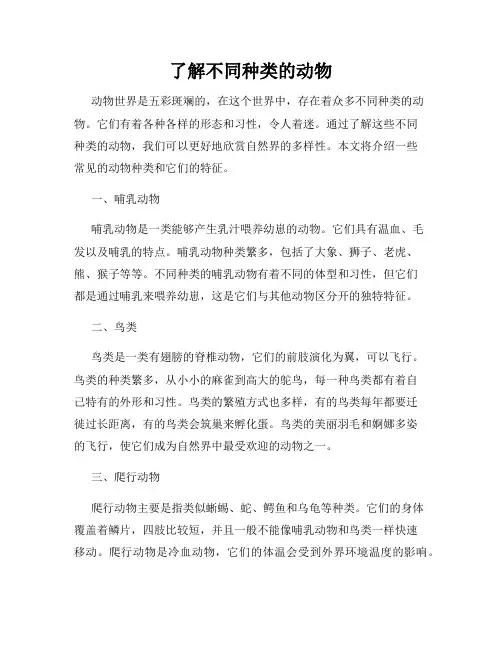 了解不同种类的动物
