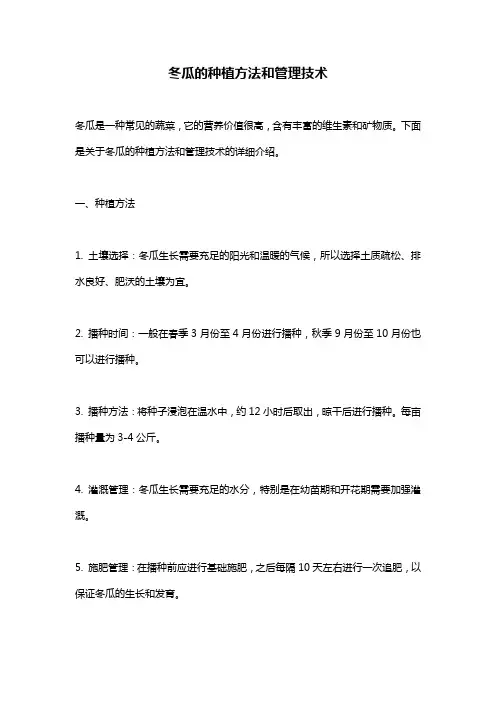 冬瓜的种植方法和管理技术