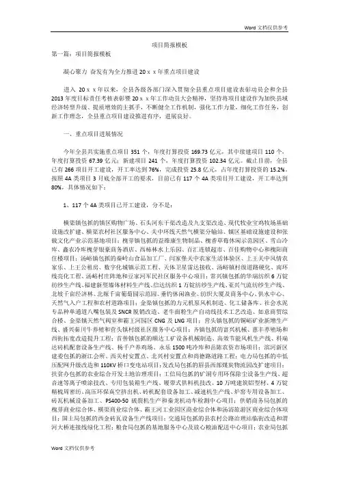 项目简报模板
