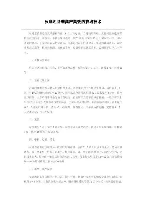 秋延迟番茄高产高效的栽培技术