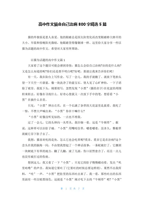 高中作文猫会自己治病800字精选5篇