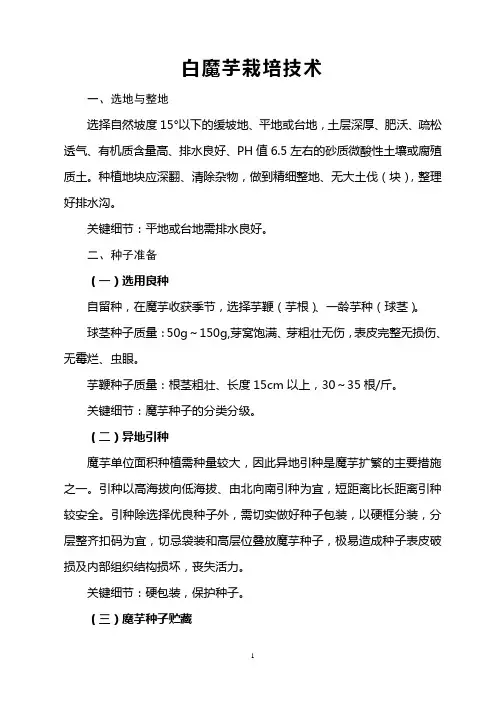 白魔芋栽培技术