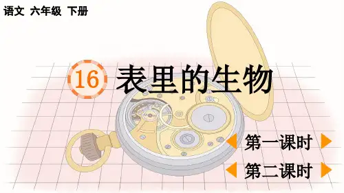 最新人教部编版六年级语文下册第五单元第16课《表里的生物》课件