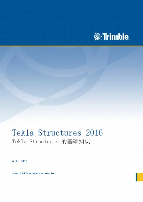 TEKLA STRUCTURES 官方指南01 Tekla Structures 的基础知识
