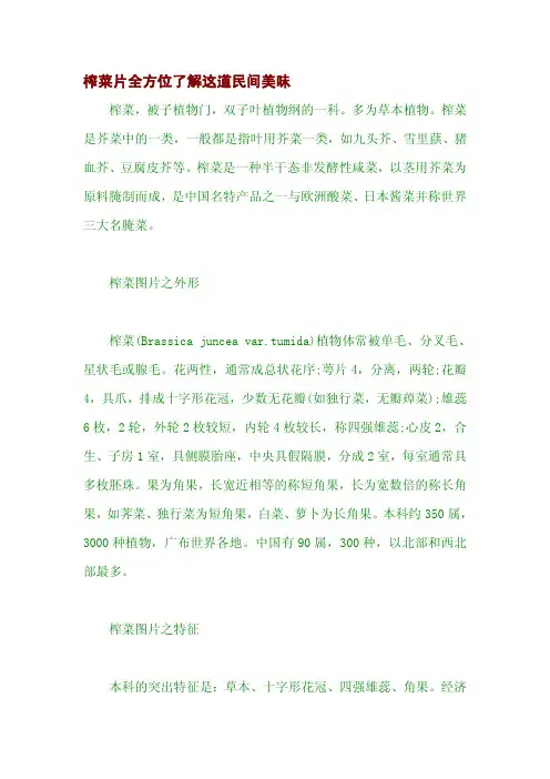 榨菜片全方位了解这道民间美味