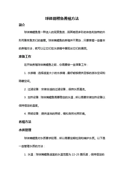 球体锦鲤鱼养殖方法