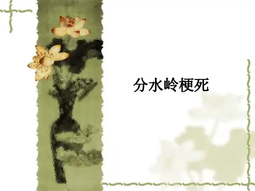 分水岭梗死ppt课件