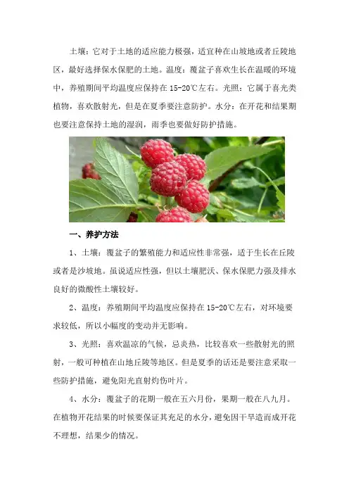 覆盆子的养殖方法和注意事项