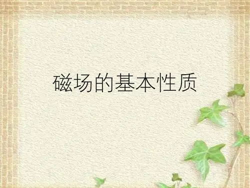 2022-2023年高考物理一轮复习 磁场的基本性质课件(重点难点易错点核心热点经典考点)