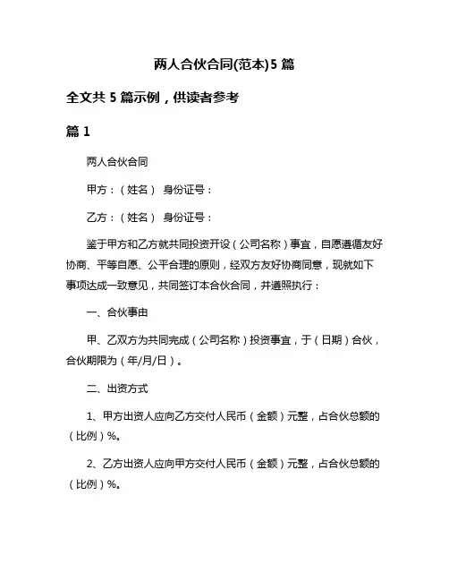 两人合伙合同(范本)5篇