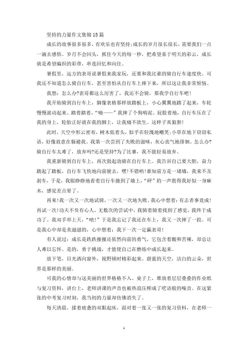 坚持的力量作文集锦15篇(精选)