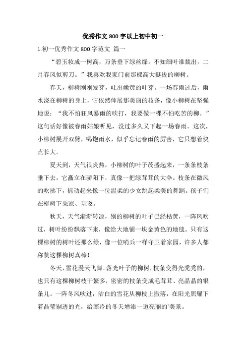 优秀作文800字以上初中初一