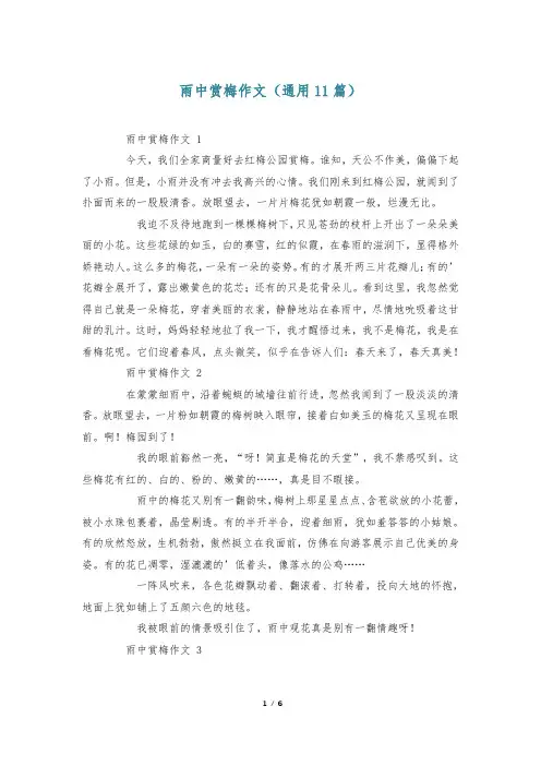 雨中赏梅作文(通用11篇)
