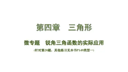 中考数学总复习考点系统复习微专题 锐角三角函数的实际应用